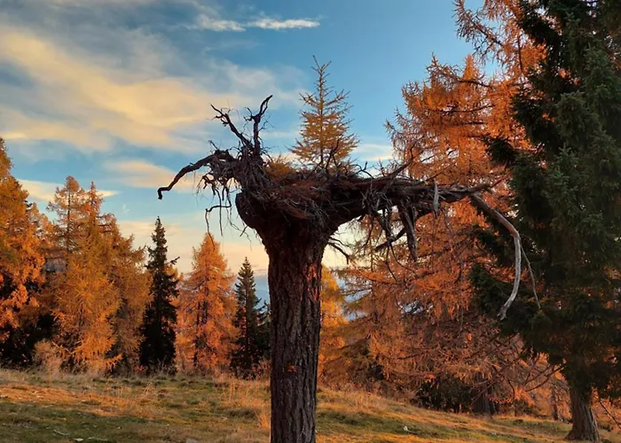 Dein Zuhause Am Апартаменты *